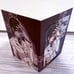 Vampire Knight photo frames stands x3