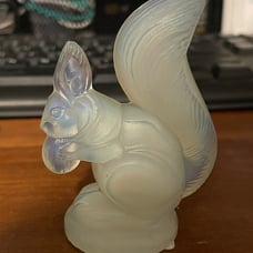 Sabino opalescent squirrel