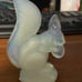 Sabino opalescent squirrel