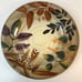 Lot Of 6 Home Trends SHADOWWOOD 9.5” Salad Plates & 11.5 Dinner Plate Autumn