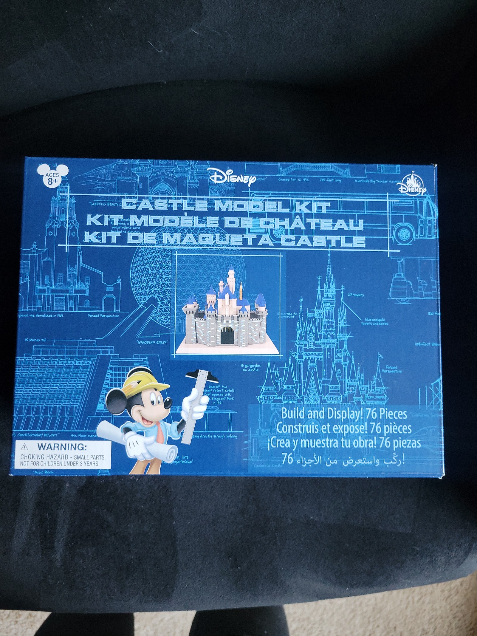 Disneyland castle model kit