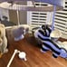 Pottery Barn Kids Knit Animal Mobile & Wooden Mobile Arm