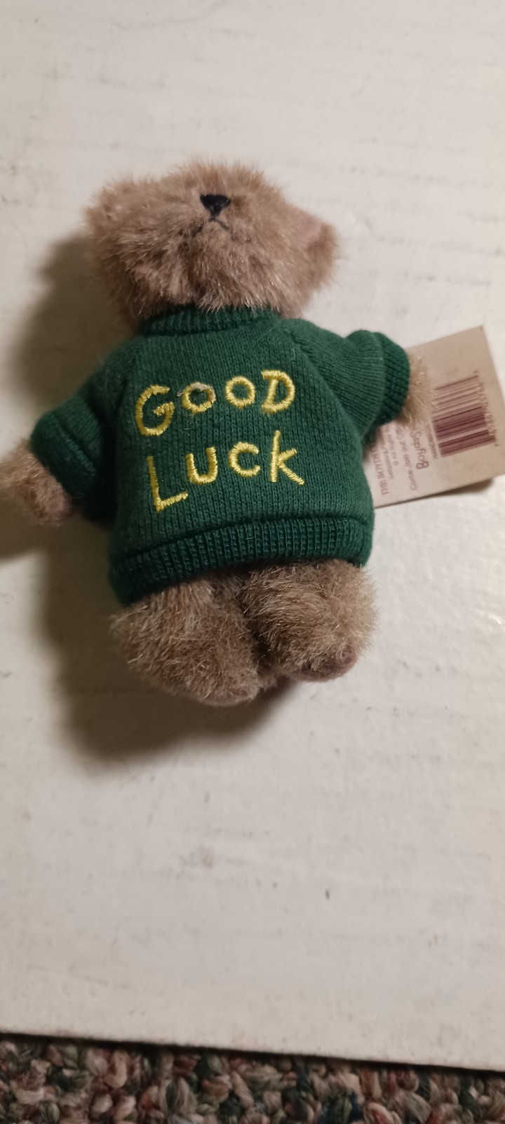 Mini boyds bear