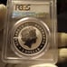 2015-P Australian KOALA Pcgs MS70 1 dollar