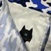 Greyson Golf Hybrid Swim Shorts Camo Scape Print Multicolor 38 x 8 NWT MSRP 158