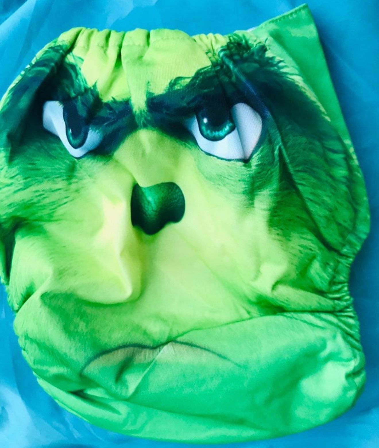Grinch cloth diaper set