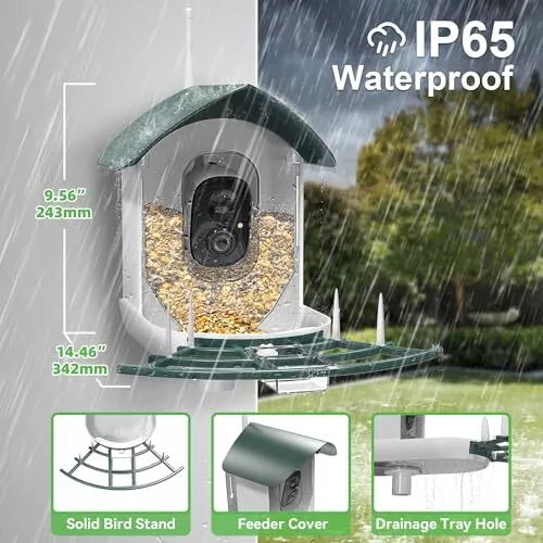 Bird Feeder with Camera Outdoor - Bird Watching Camera Solar Powered, Green