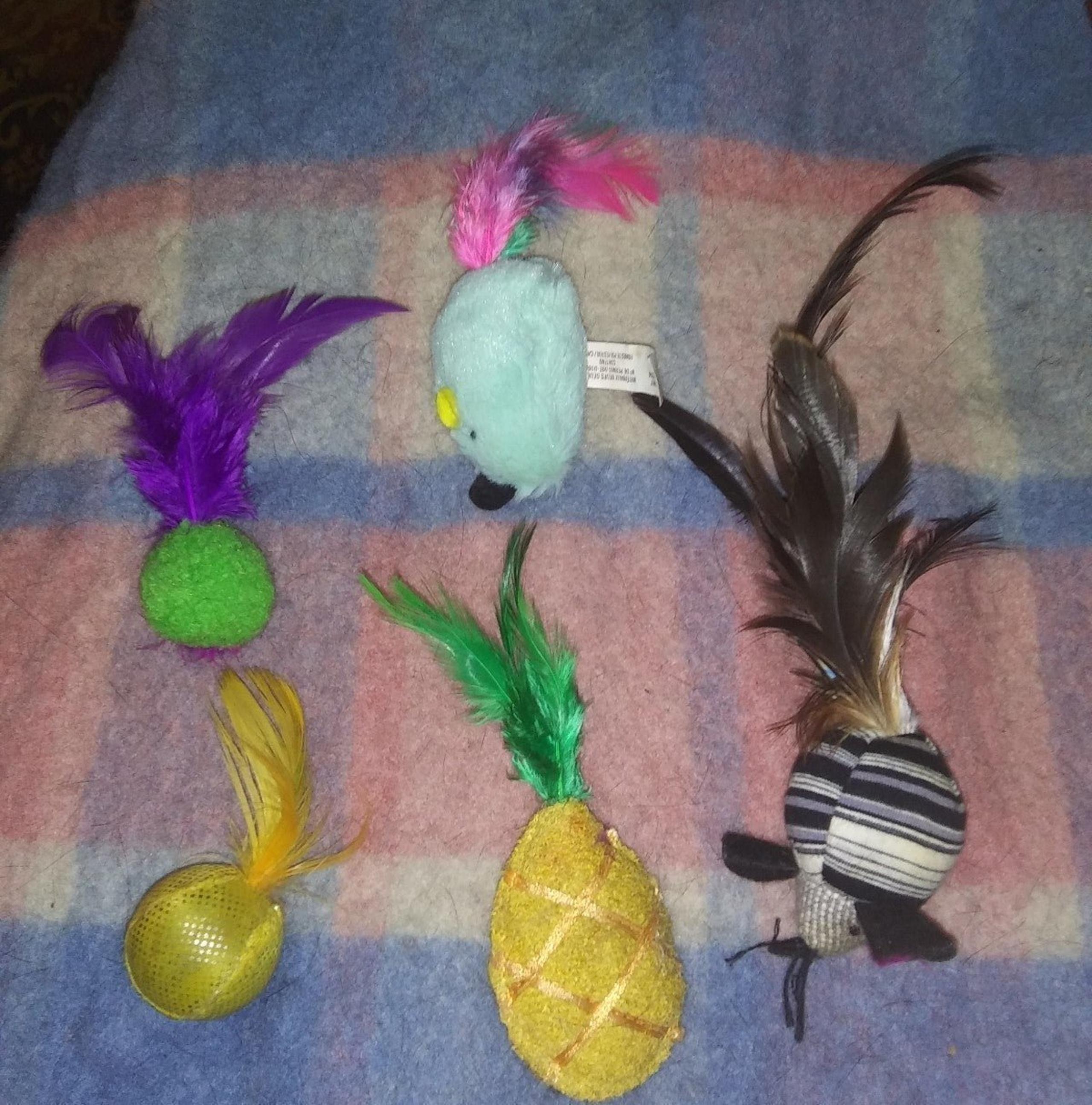 Cat Toy lot