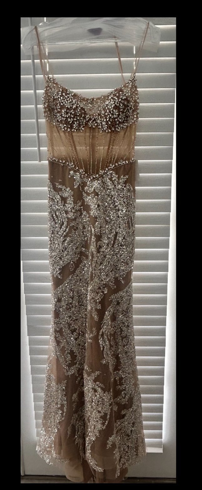 Ladivine silver dress