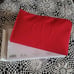 Dior Red Canva Pouch Silver Logo Zip NIB