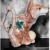 Fitz and Floyd Reynard Fox Pitcher 1 1/4 Quart 1990 EUC Rare and Hard To Find