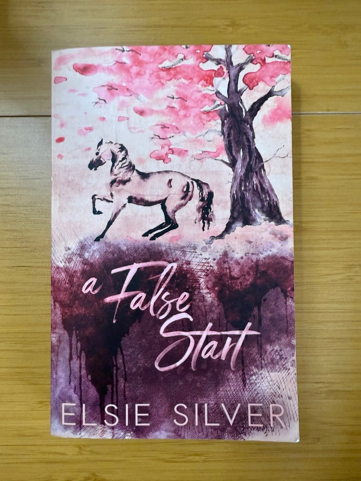 Elsie Silver A False Start OOP horse cover