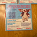 Vintage Gremlin Adventures 5pc books
