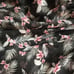 Victoria Secret Swim Cover Ups Dust Robe Wrap