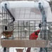 Birds Choice SNWMKIT Window Mount Kit, Recycled Platform Feeder, Small, Taupe