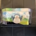 Pokemon go cards trading game