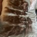 20 inch 200 gram INH Hair extensions