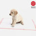 100 ExtraLarge 30x36 ULTRA HEAVY ABSORBENCY Big Dog Puppy Training Wee Wee Pads