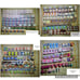 Huge Mini Brands Lot