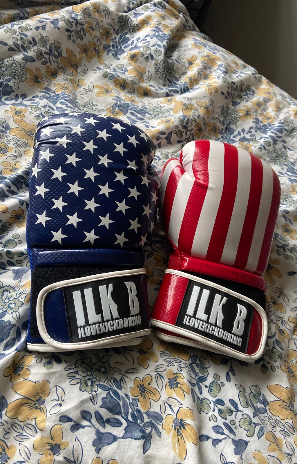 Boxing gloves