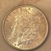 Morgan Silver Dollar