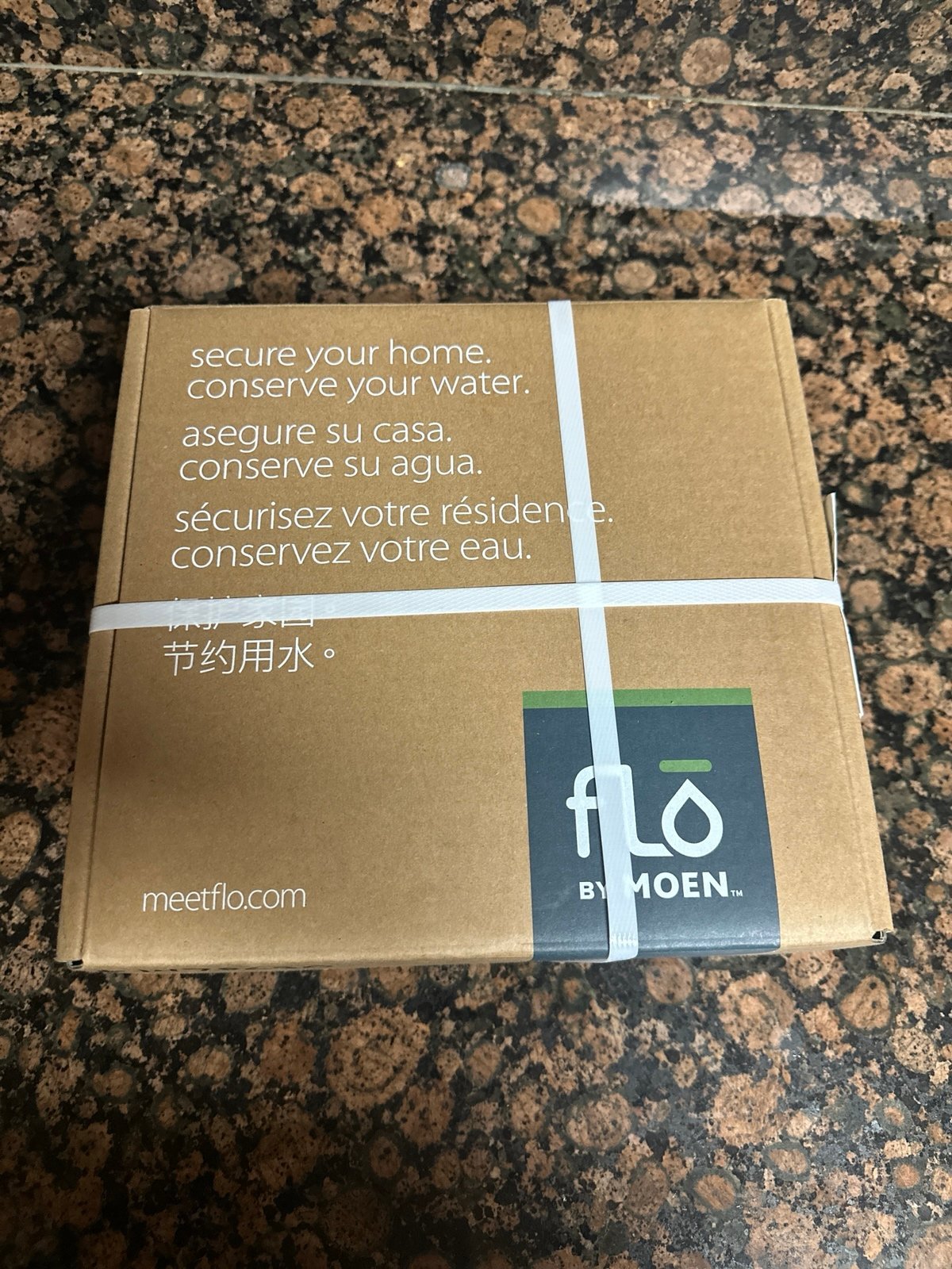 Moen Flo Smart Water Monitor and Shutoff new