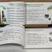 Nuevo y Antiguo Testamento para-Ninos Historias Maravillosas de la Biblia