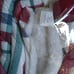 PREMIER COMFORT SIGNATURE Reversible Cotton Flannel to Faux Fur 3PC Comforter Se