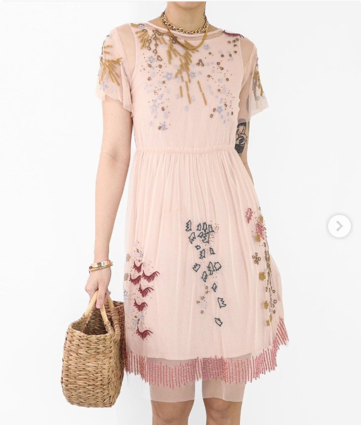 Vintage Zara girls tulle embroidered applique dress