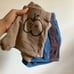 Bobo Choses Shorts