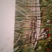 fresh start signed by Charles frace