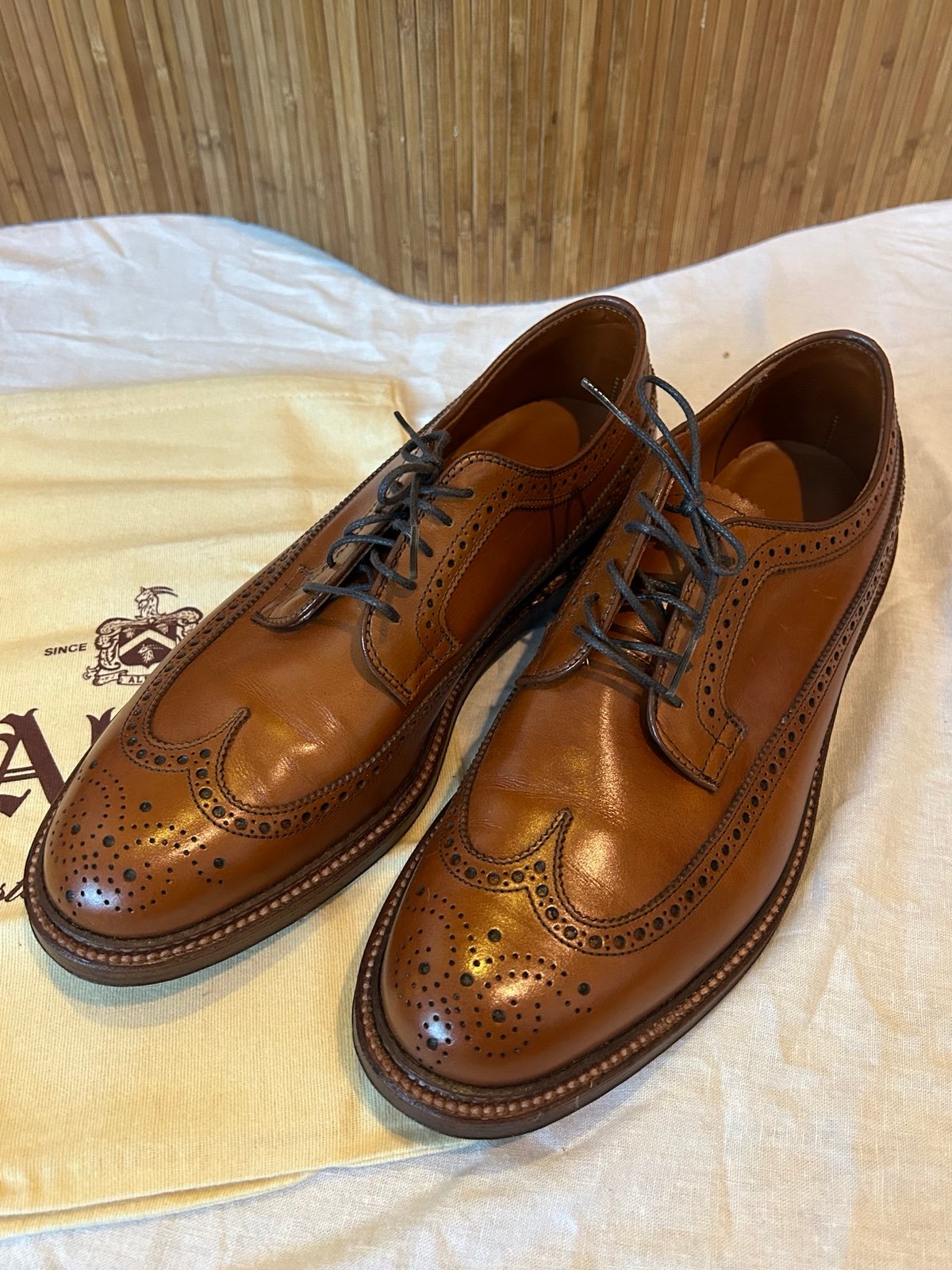 Alden long wing blucher size 10