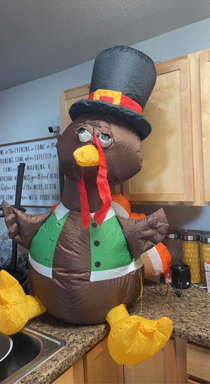 4ft blow up turkey