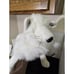 Folkmanis Hand Puppet White Artic Fox 22 Plush Pretend Play Stuffed Animal Toy