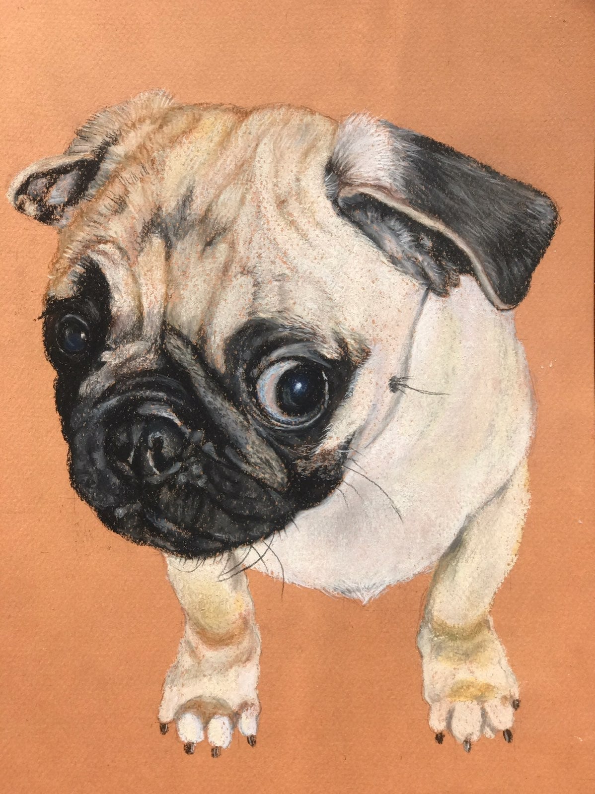 Original pastel drawing of a pug