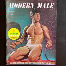 Vintage Gay! MODERN MALE Summer 1971 SIG ULMANIS Bob Freeman VIC DeMARCO Physiqu