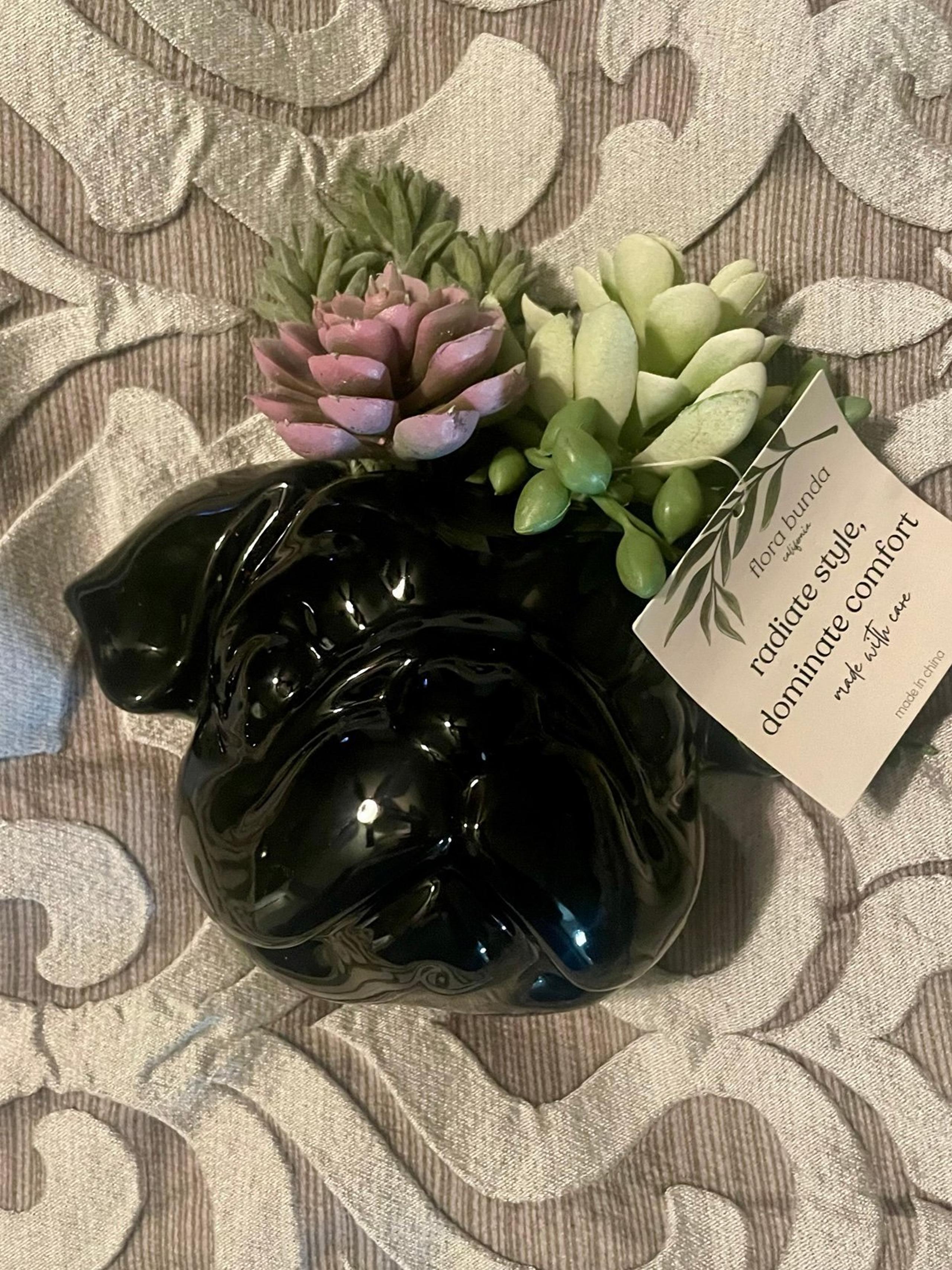 Bulldogs or Pug Succulent wall Decor