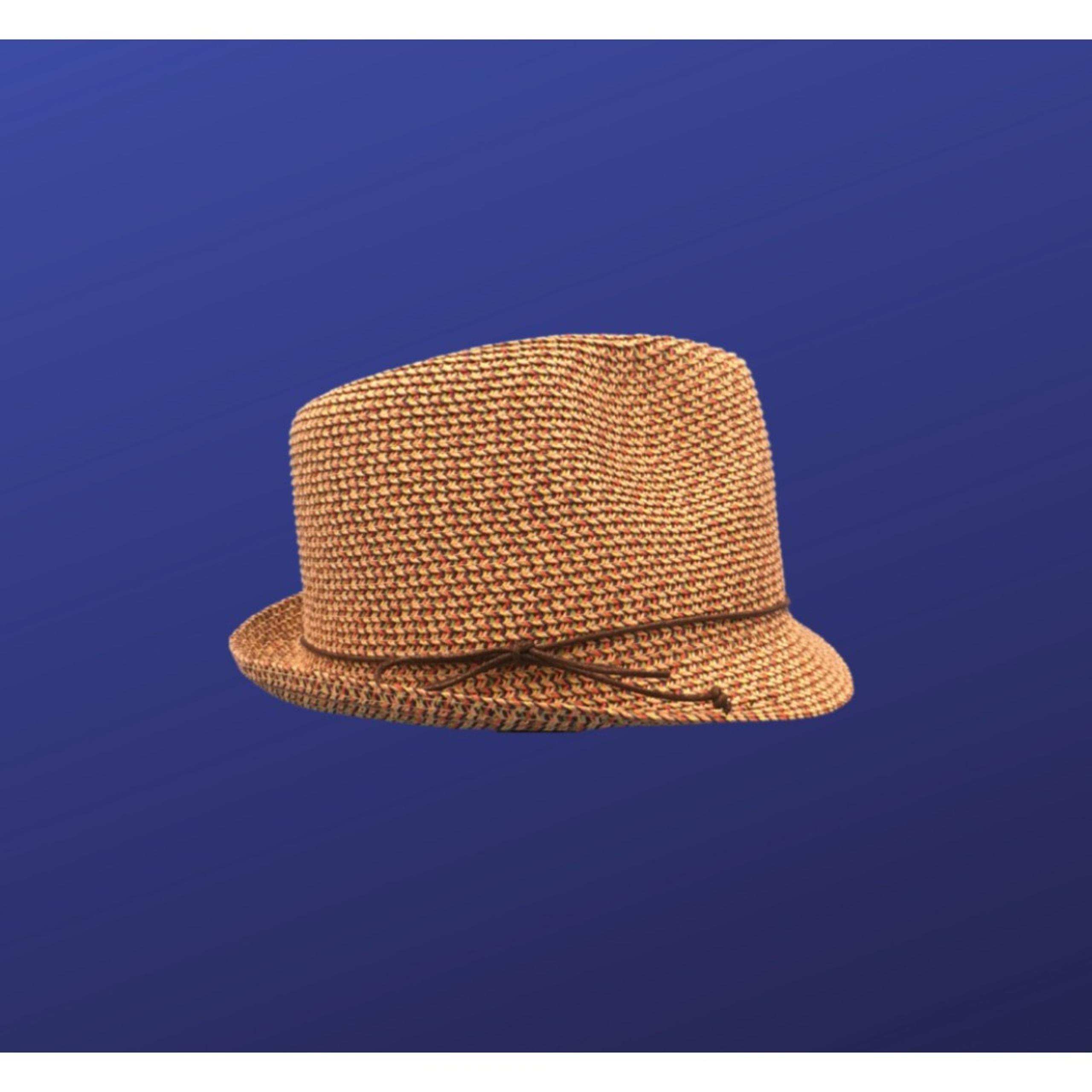 TARGET Womens Straw FEDORA hat, NATURAL/MULTICOLOR, One Size, NWOT