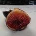 3x Black Madeira Kk Fig Tree Cuttings (3)