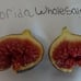 3x Black Madeira Kk Fig Tree Cuttings (3)