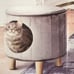 Pair of 2 Hide-A-Way Cat Condo Stools