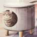 Pair of 2 Hide-A-Way Cat Condo Stools