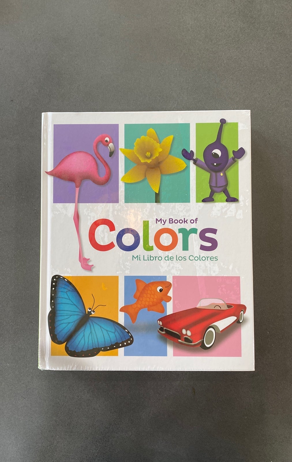 Southwestern Advantage educational Books