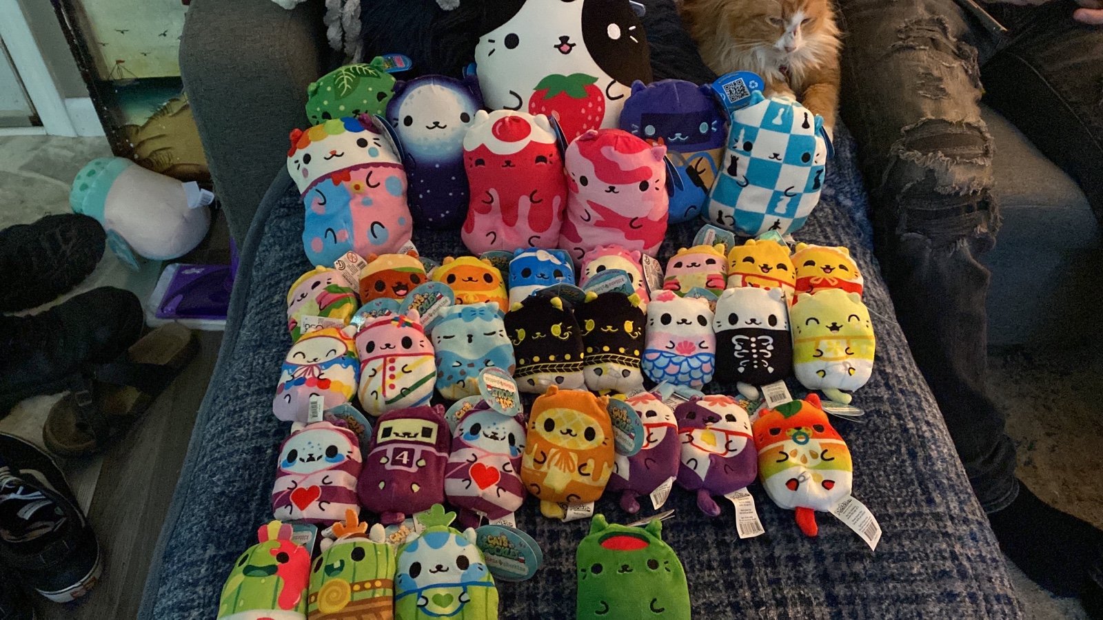 CvP Lot- Jumbo, Chonks, Beans, KvG