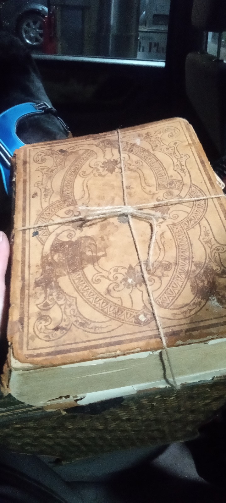Merriam websters 1864 dictionary