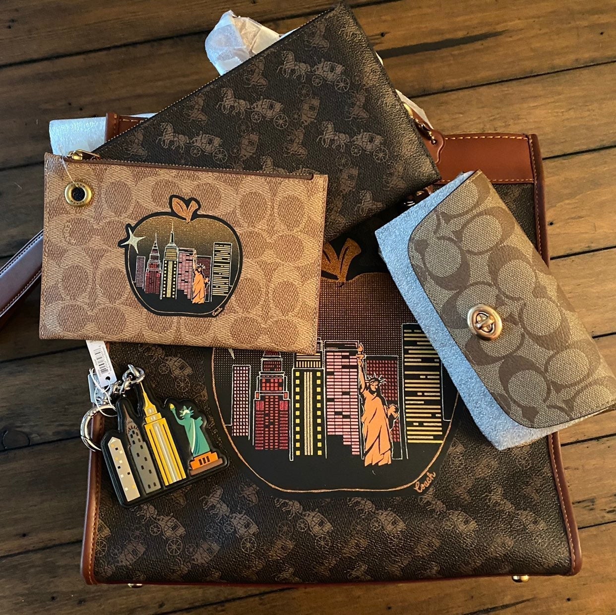 NWT Coach NY Applique Skyline Tote 3 set