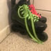 inline skates