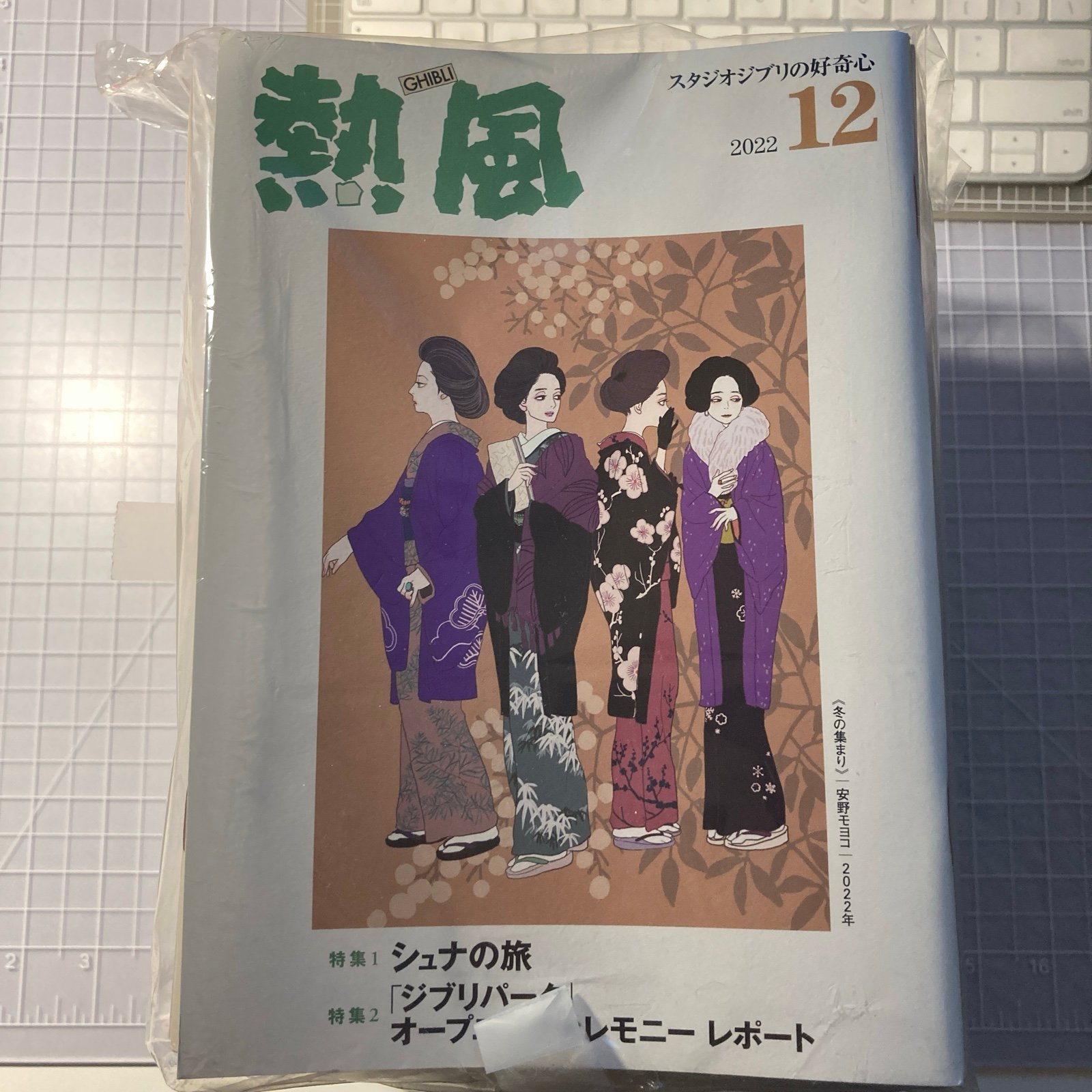 Huge lot of 34 Ghibli Neppu magazines -ask for spare numbers-