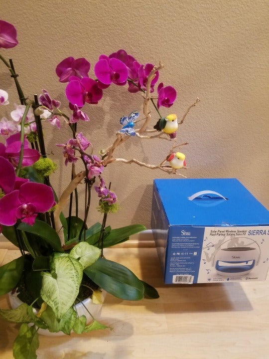 Sierra S3 Wireless Bluetooth Speaker