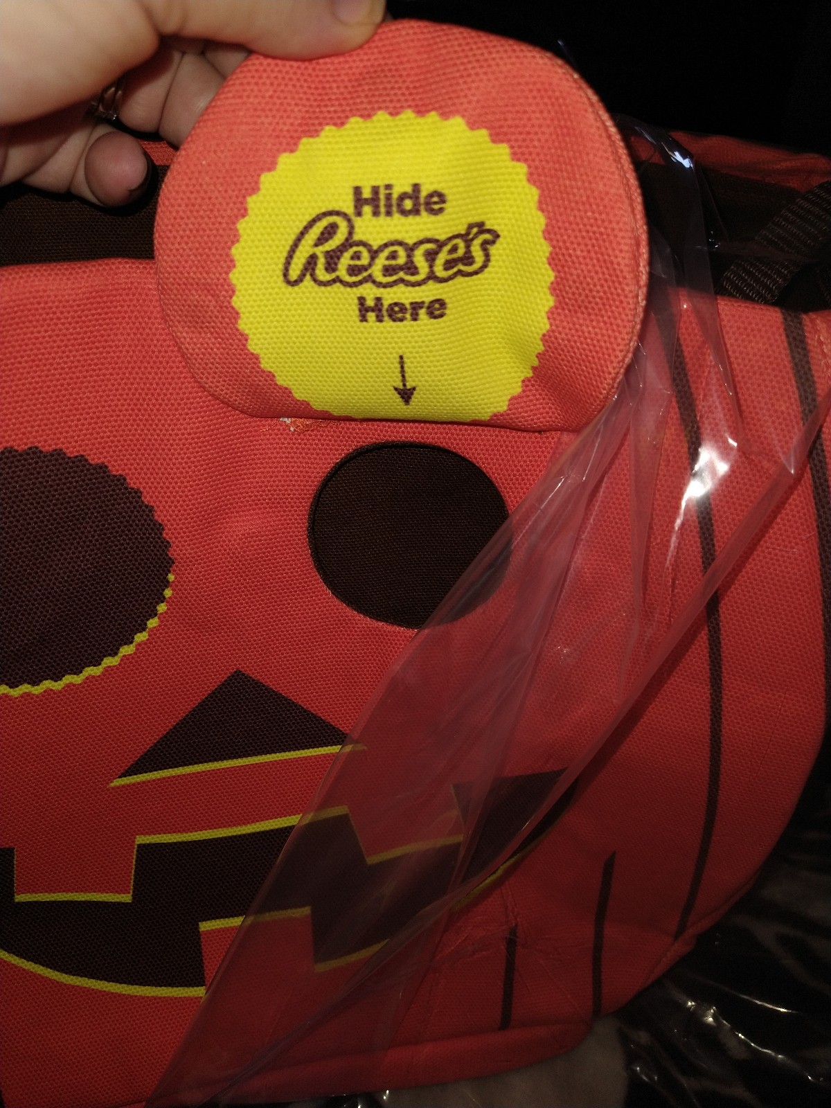 Reese's Hide Your Candy Bag
